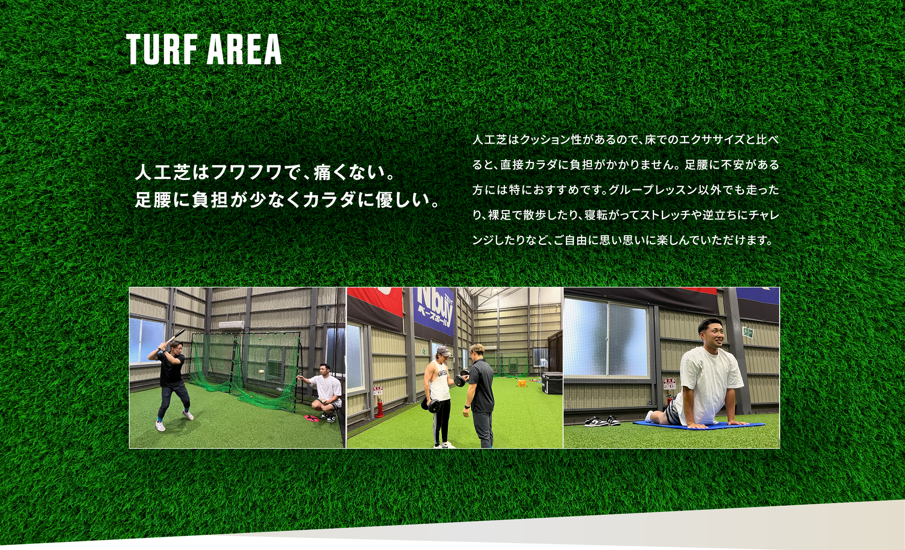 TURF AREA